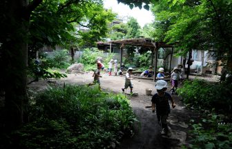緑豊かな園庭