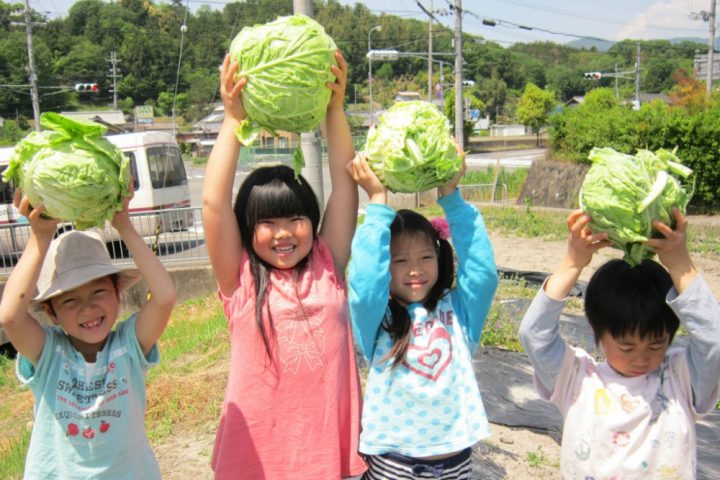農業のプロジェクト