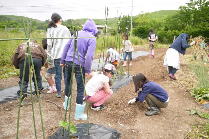 学校の畑