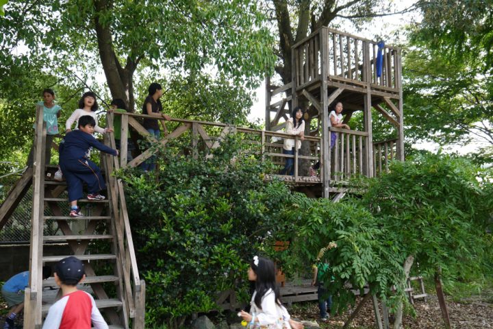 子ども達が作った遊具