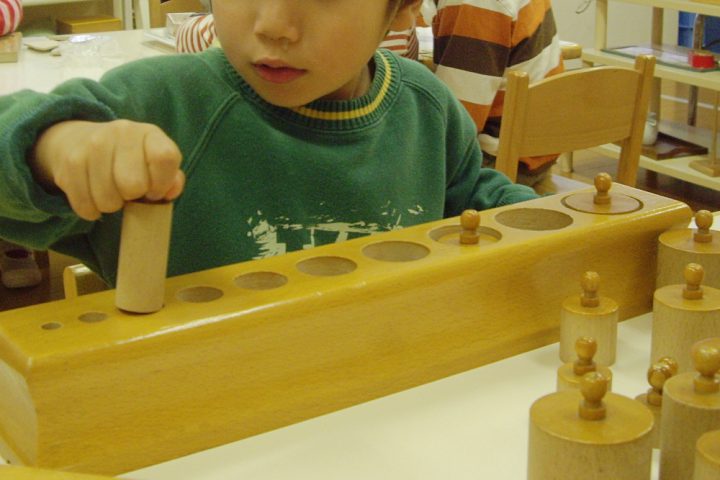 感覚の活動 はめ込み円柱