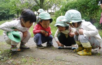 見つけて、触ってみる